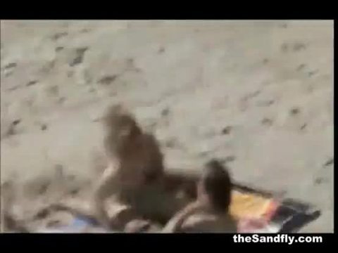 Thesandfly incredible public beach sexhibitionists!